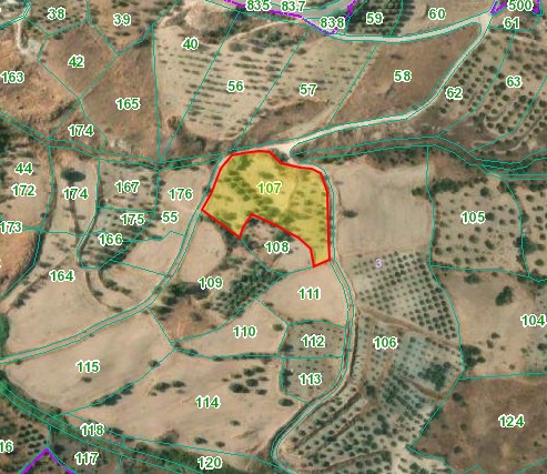 Episkopi, Paphos Agricultural Land For Sale | DT3348