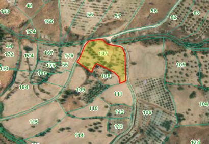 Episkopi, Paphos Agricultural Land For Sale | DT3348