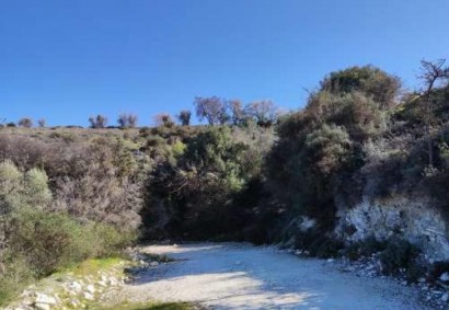 Salamiou, Paphos Agricultural Land For Sale | DT4733
