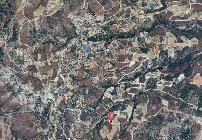 Salamiou, Paphos Agricultural Land For Sale | DT4733