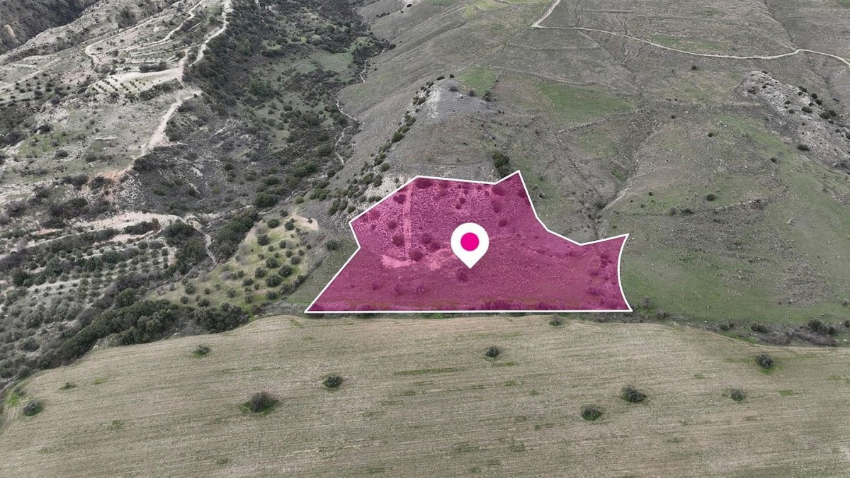 Agios Dimitrianos Agricultural Land For Sale | DT4736
