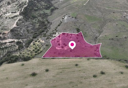Agios Dimitrianos Agricultural Land For Sale | DT4736