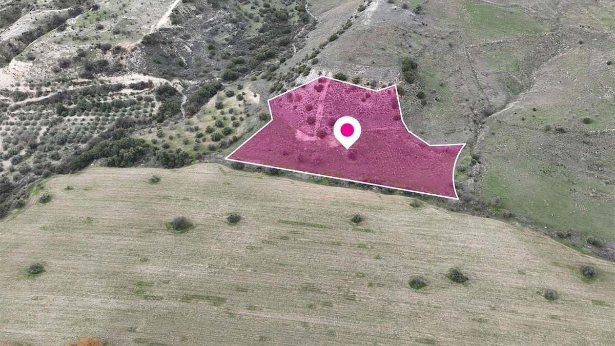 Field in Agios Dimitrianos, Paphos