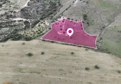 Agios Dimitrianos Agricultural Land For Sale | DT4736