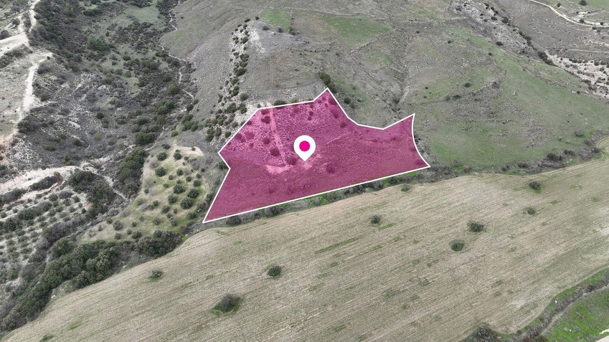 Field in Agios Dimitrianos, Paphos