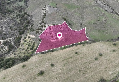 Agios Dimitrianos Agricultural Land For Sale | DT4736