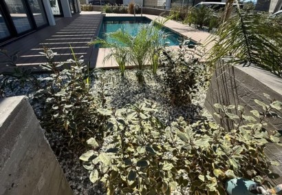 Chlorakas, Paphos Detached Villa For Rent | DT4741