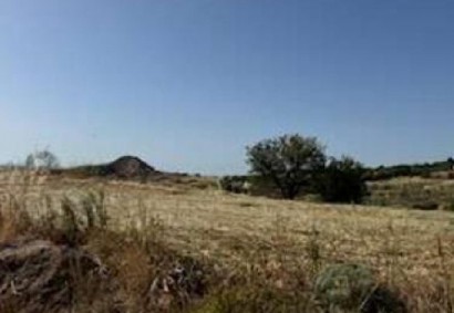 Lasa, Paphos Agricultural Land For Sale | DT4750