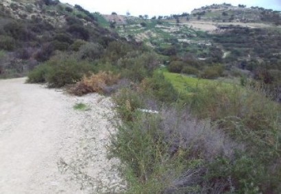 Drouseia, Paphos Agricultural Land For Sale | DT4751