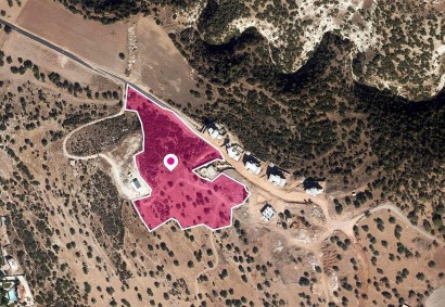 Peyia, Paphos Agricultural Land For Sale | DT4758