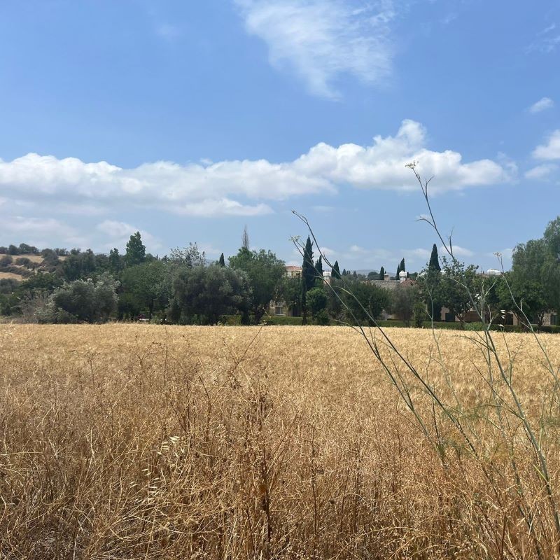 Poli Crysochous, Paphos Residential Land For Sale | DT4812