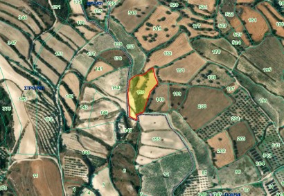 Thrinia, Paphos Agricultural Land For Sale | DT4848