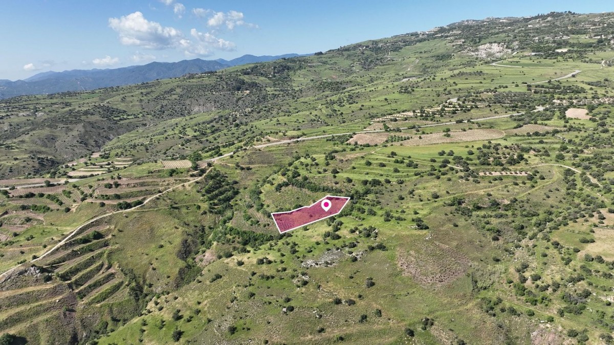 Statos-Agios Fotios Residential Land For Sale | DT4865