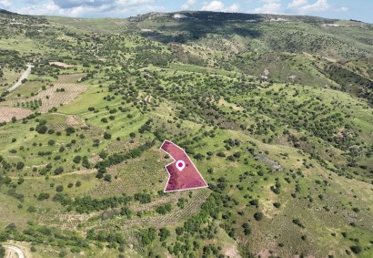 Statos-Agios Fotios Residential Land For Sale | DT4865