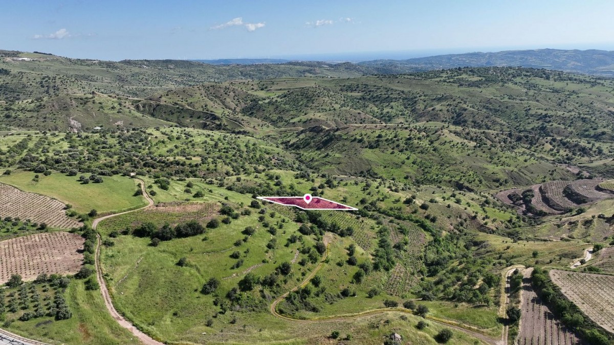 Agricultural Field in Statos – Agios Fotios, Paphos