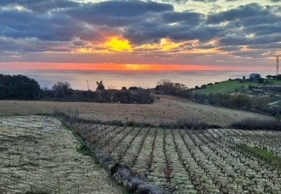 Koili, Paphos Detached Villa For Rent | DT4913