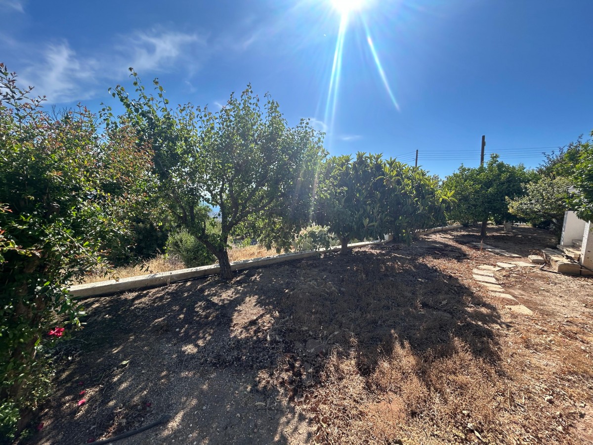 Detached Villa For Sale  in  Tala