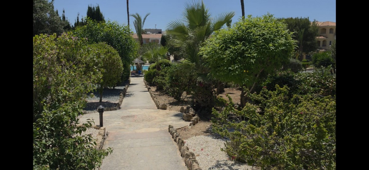 Apartment For Rent  in  Kato Paphos - Tombs of The Kings