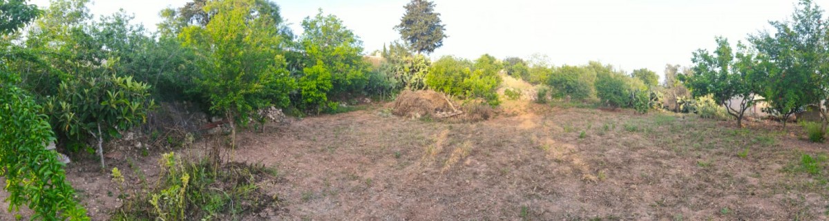 Traditional House For Sale  in  Ineia