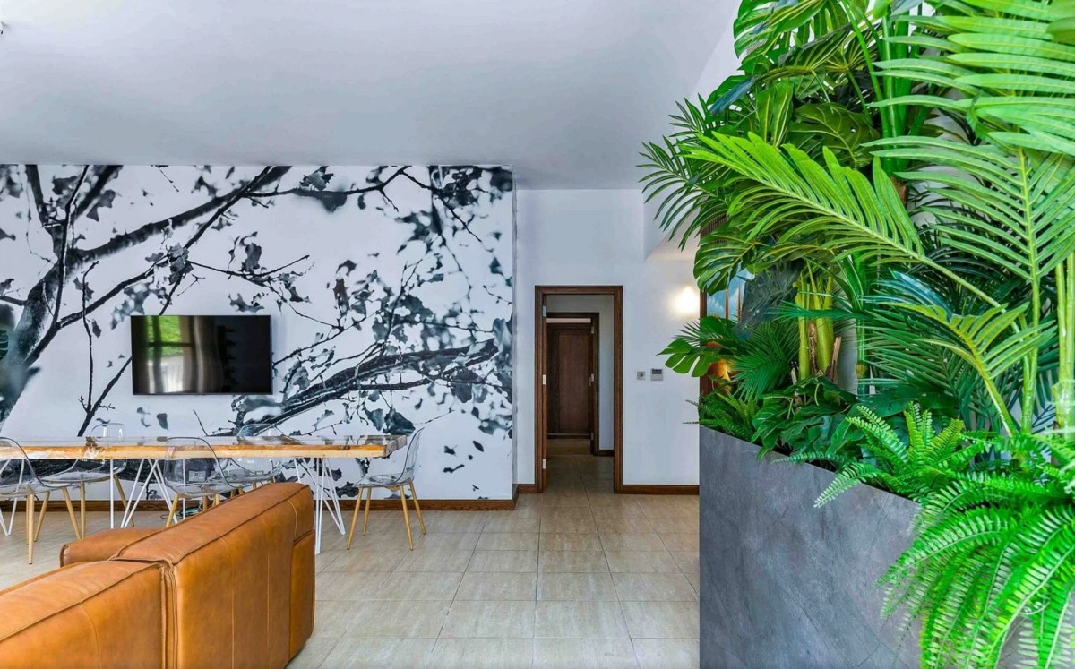 Ground Floor Apartment For Rent  in  Kouklia - Aphrodite Hills