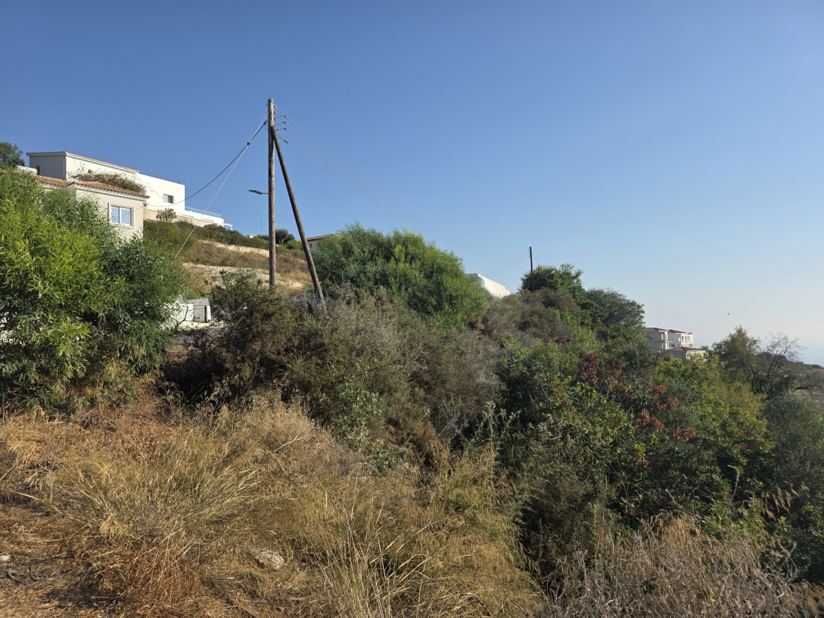 Residential Land For Sale  in  Tala
