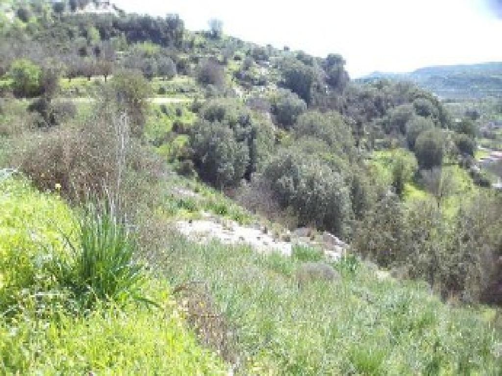 Letymbou, Paphos Agricultural Land For Sale | DT5199