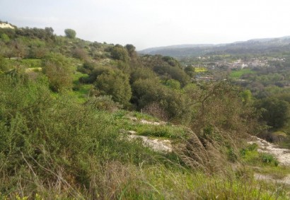 Letymbou, Paphos Agricultural Land For Sale | DT5199