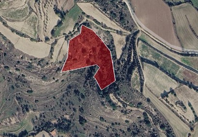 Letymbou, Paphos Agricultural Land For Sale | DT5199