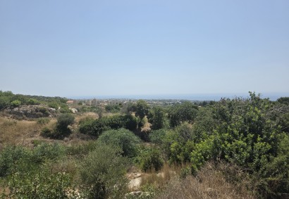 Tala, Paphos Residential Land For Sale | DT4799