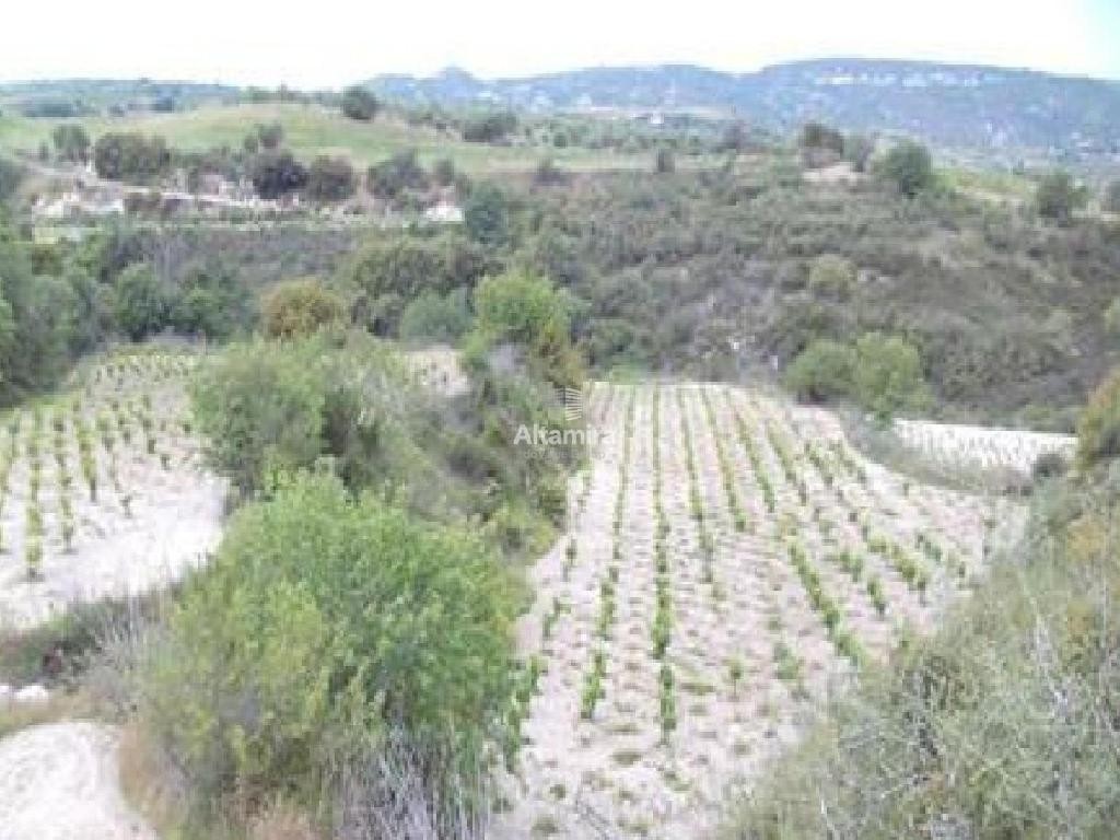 Stroumbi, Paphos Agricultural Land For Sale | DT5268