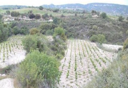 Stroumbi, Paphos Agricultural Land For Sale | DT5268