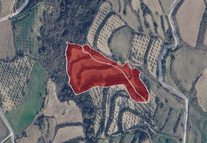 Stroumbi, Paphos Agricultural Land For Sale | DT5268