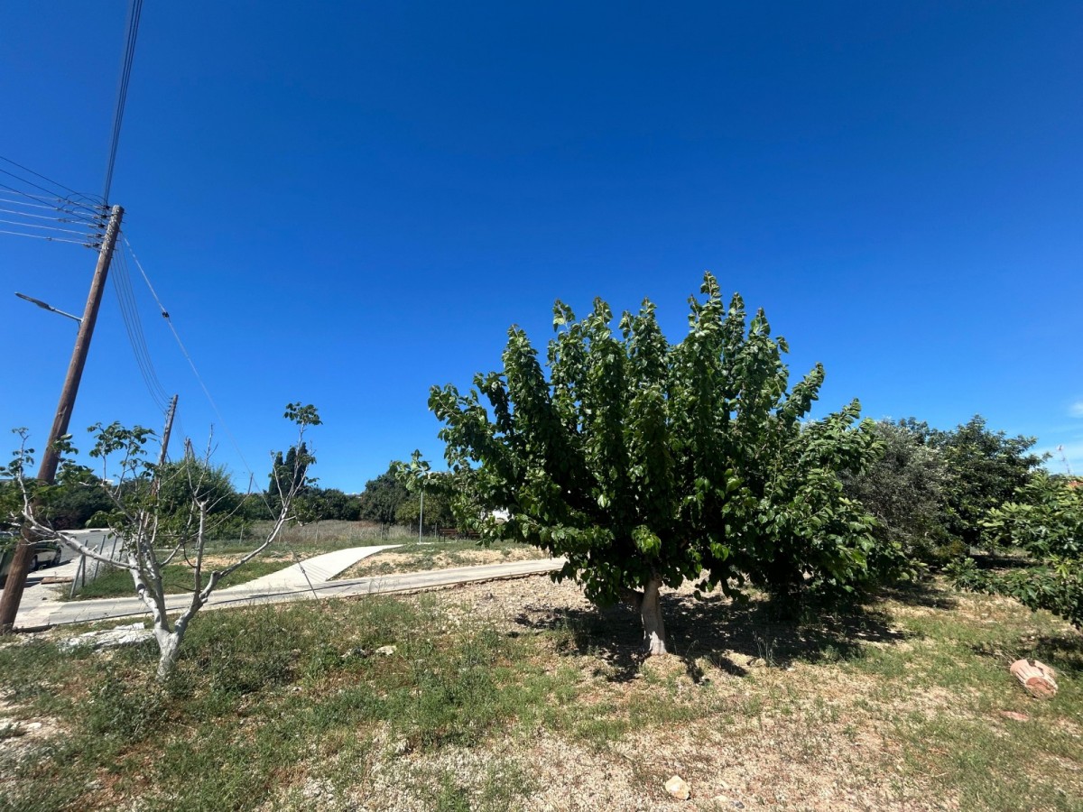 Detached Villa For Sale  in  Mesogi