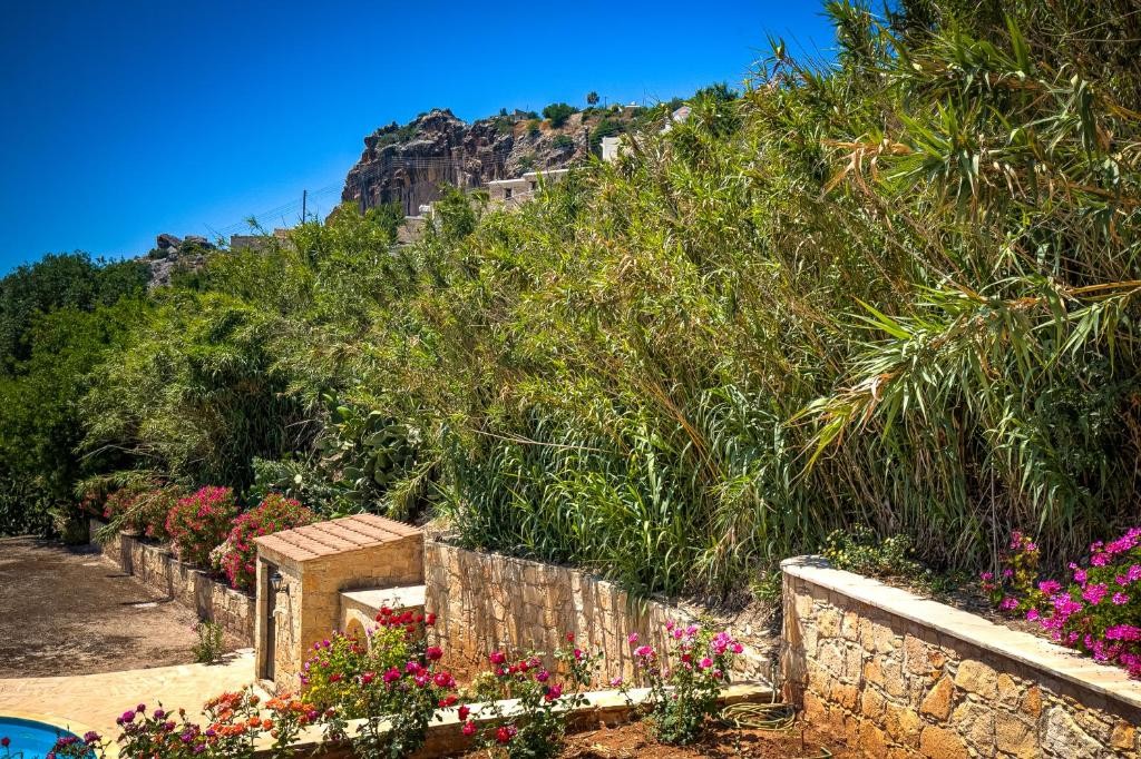 Detached Villa For Rent  in  Episkopi