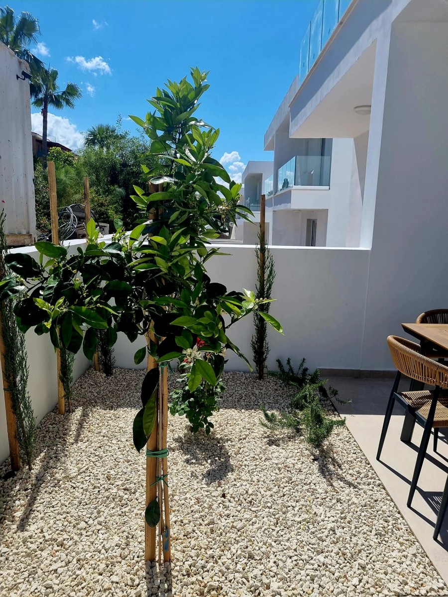 Semi Detached Villa For Sale  in  Peyia