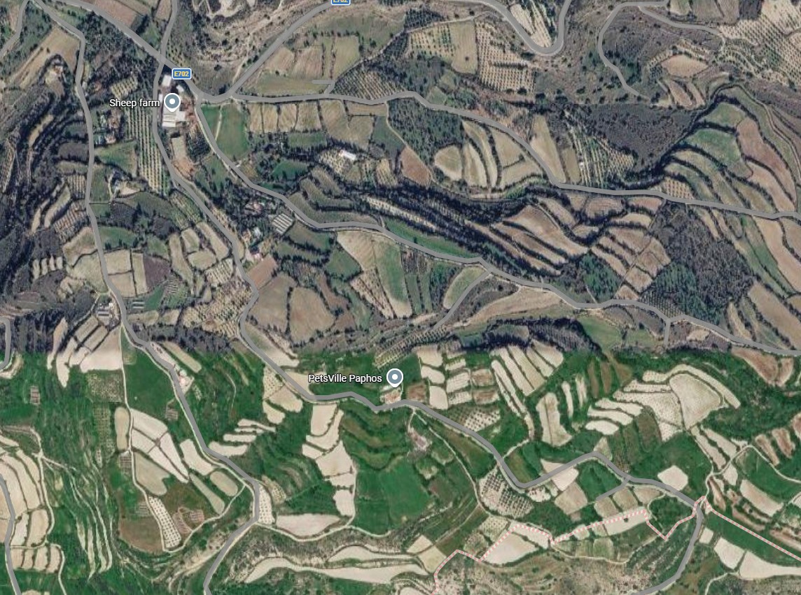 Letymbou, Paphos Agricultural Land For Sale | DT5343