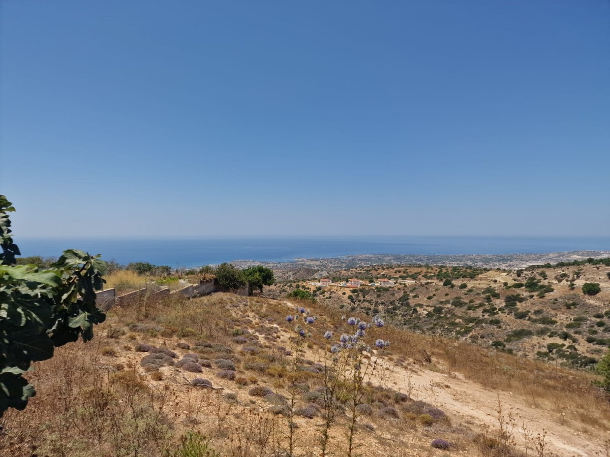 Detached Villa For Sale  in  Akoursos
