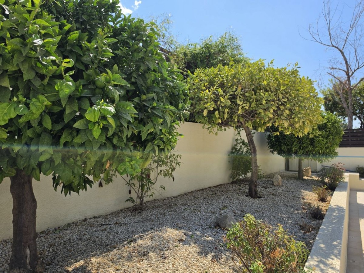 Detached Villa For Sale  in  Peyia - Sea Caves