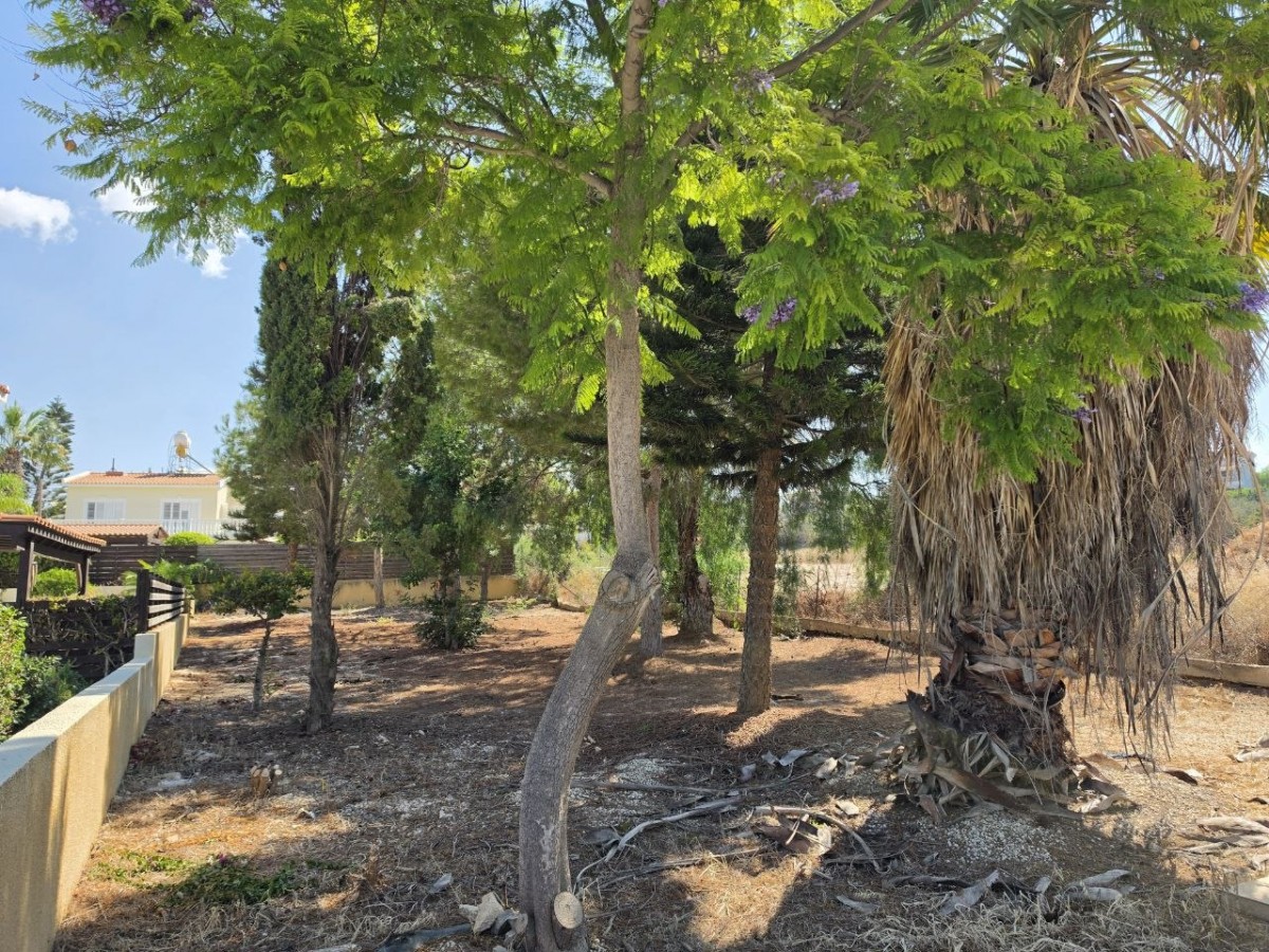 Detached Villa For Sale  in  Peyia - Sea Caves
