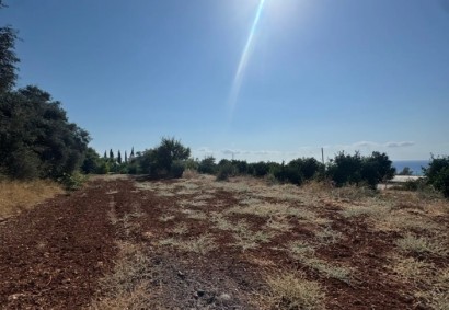 Nea Dimmata, Paphos Residential Land For Sale | DT5365