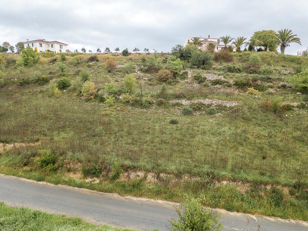 Field - Stroumpi, Paphos