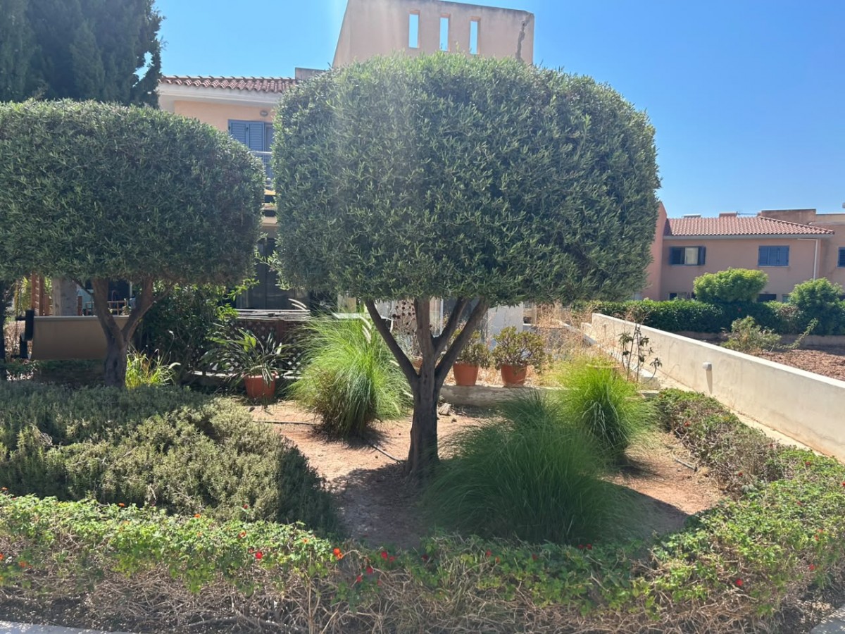Semi Detached Villa For Sale  in  Anarita