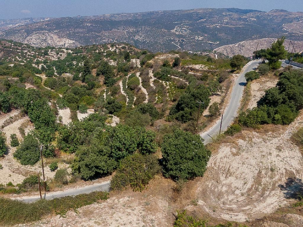 Field - Koili, Paphos