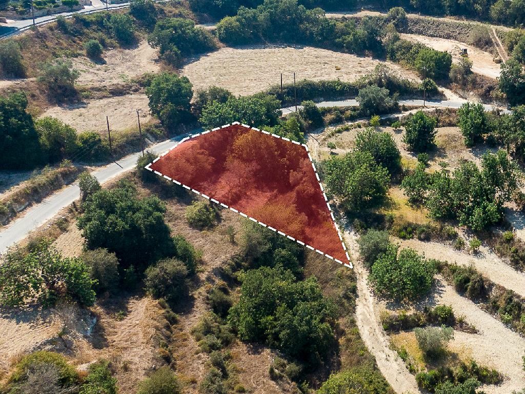 Field - Koili, Paphos