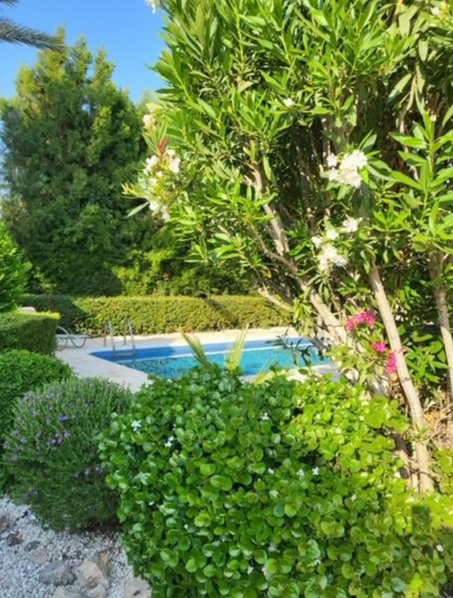 Detached Villa For Rent  in  Peyia - Coral Bay