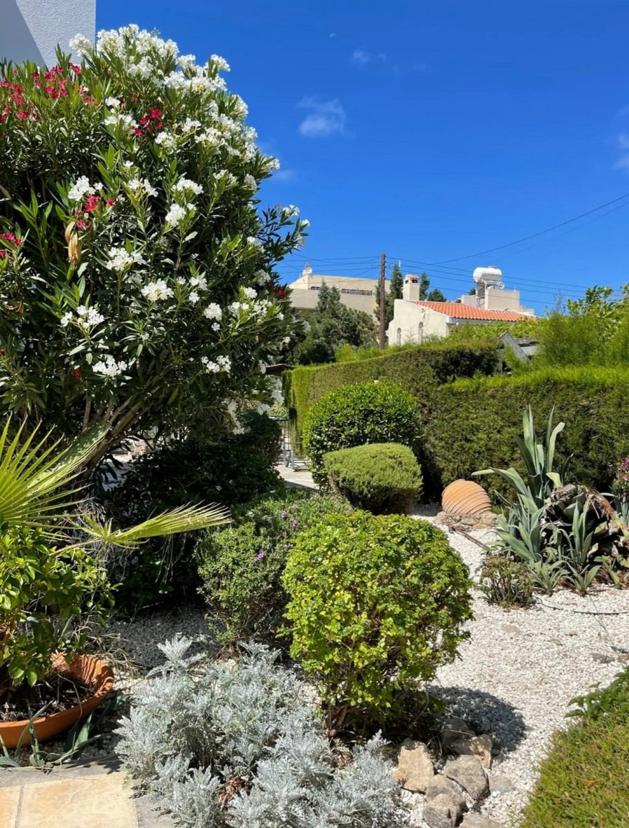 Detached Villa For Rent  in  Peyia - Coral Bay