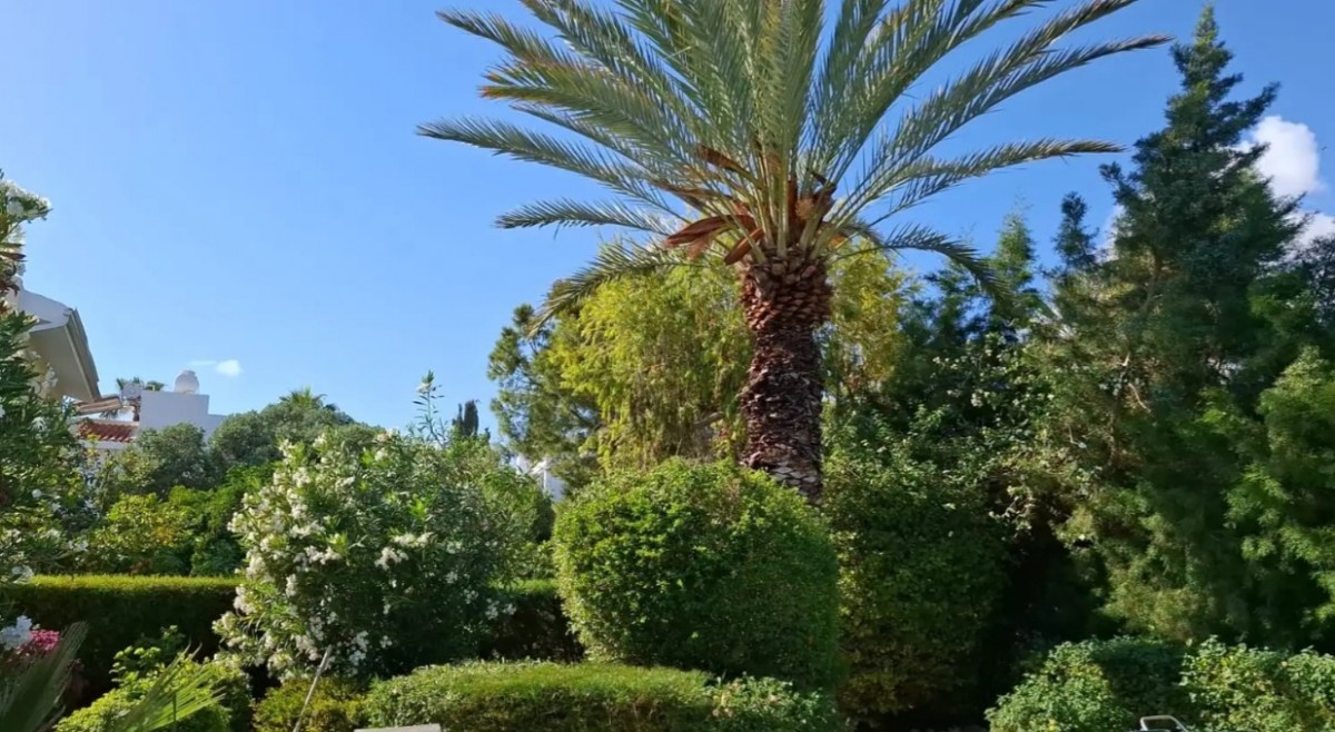 Detached Villa For Rent  in  Peyia - Coral Bay