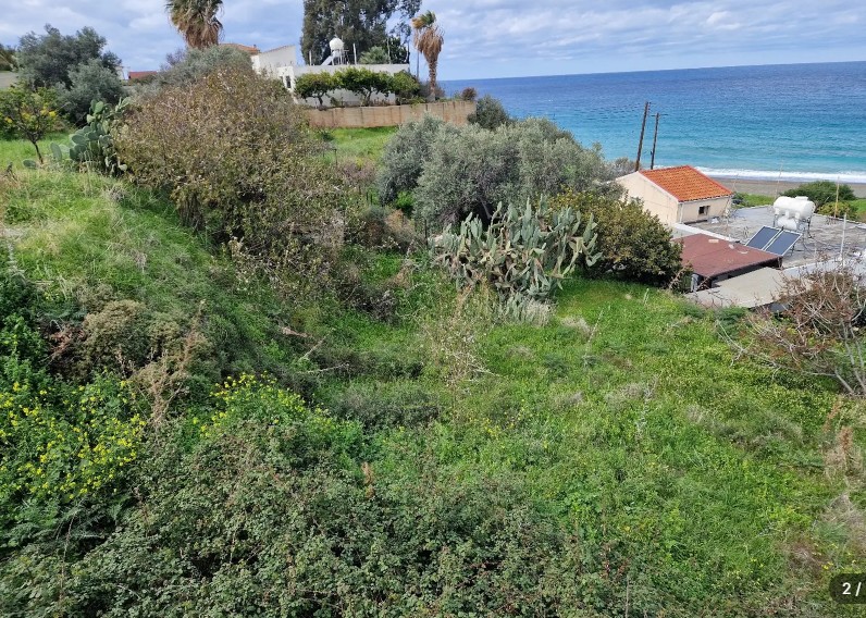 Residential Land For Sale  in  Pachyammos