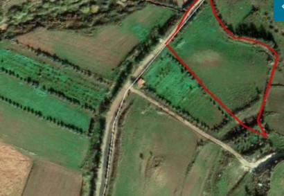 Agia Varvara, Paphos Residential Land For Sale | DT5497