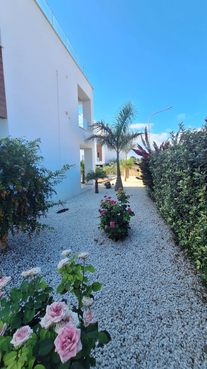 Detached Villa For Sale  in  Geroskipou